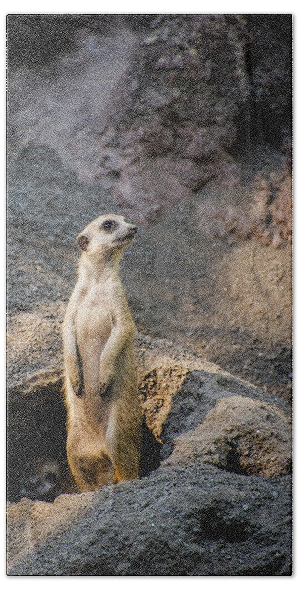 Meerkat Bath Towel featuring the photograph El Greco and the Meerkat by Alex Lapidus