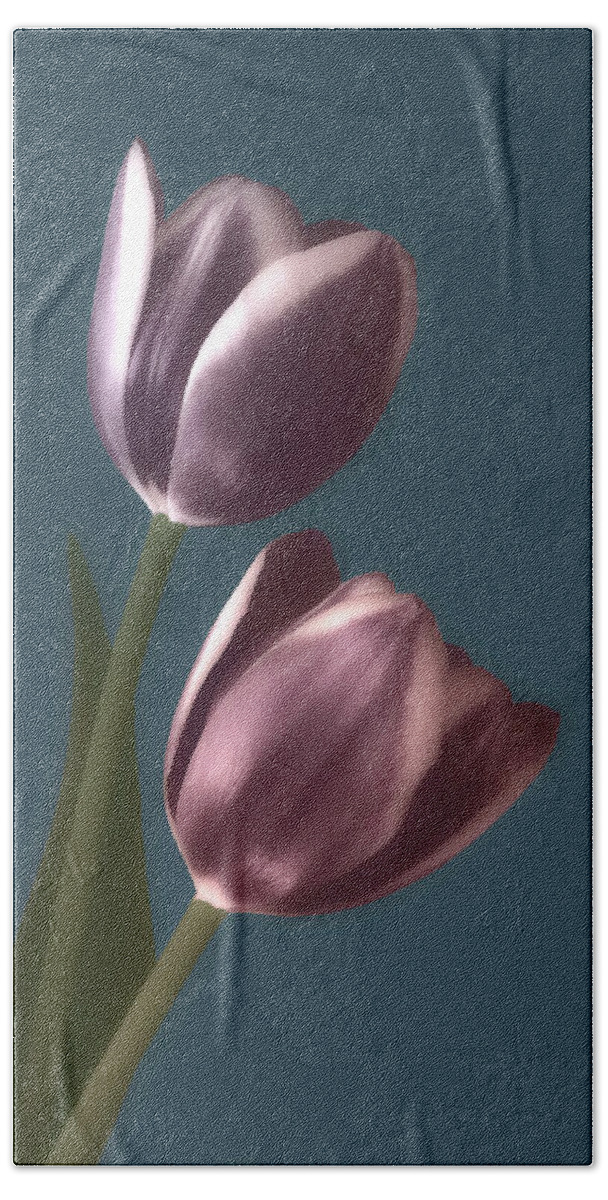 Elegant Hand Towel featuring the photograph Elegant Purple Tulips PhotoArt by Johanna Hurmerinta