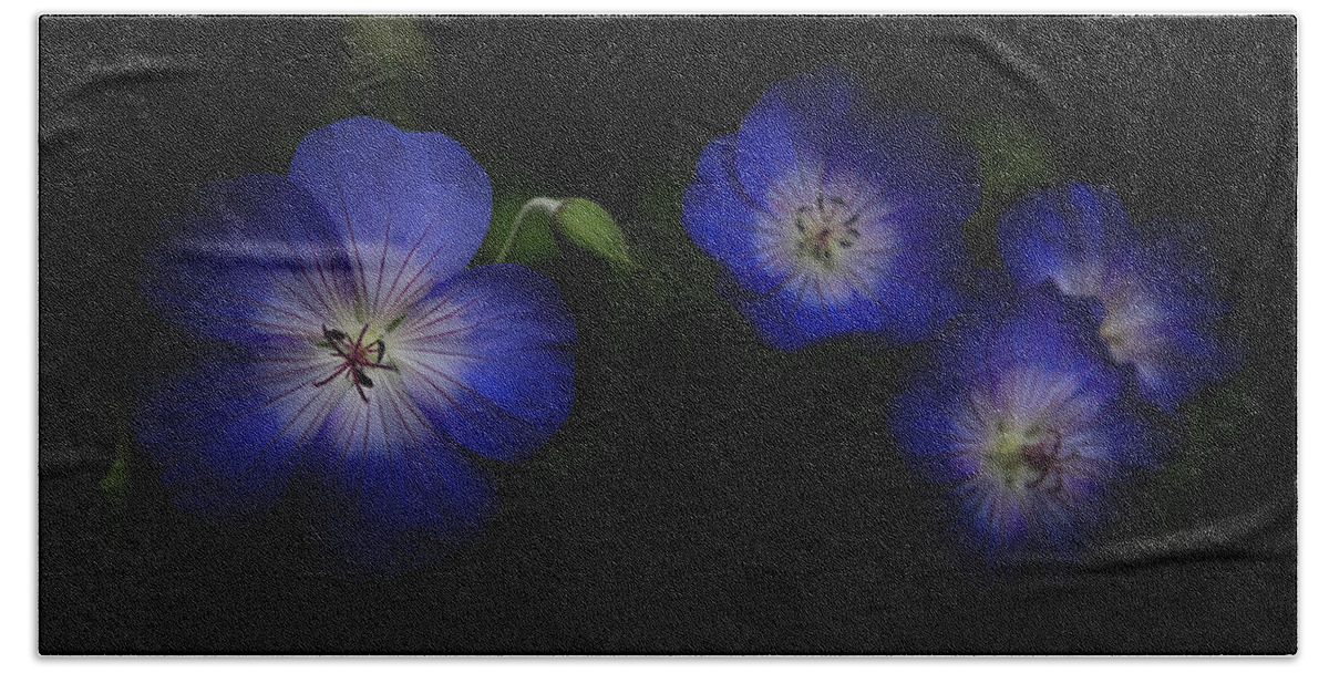 Garden Bath Towel featuring the photograph Enchanted Blues in Square by Debra and Dave Vanderlaan