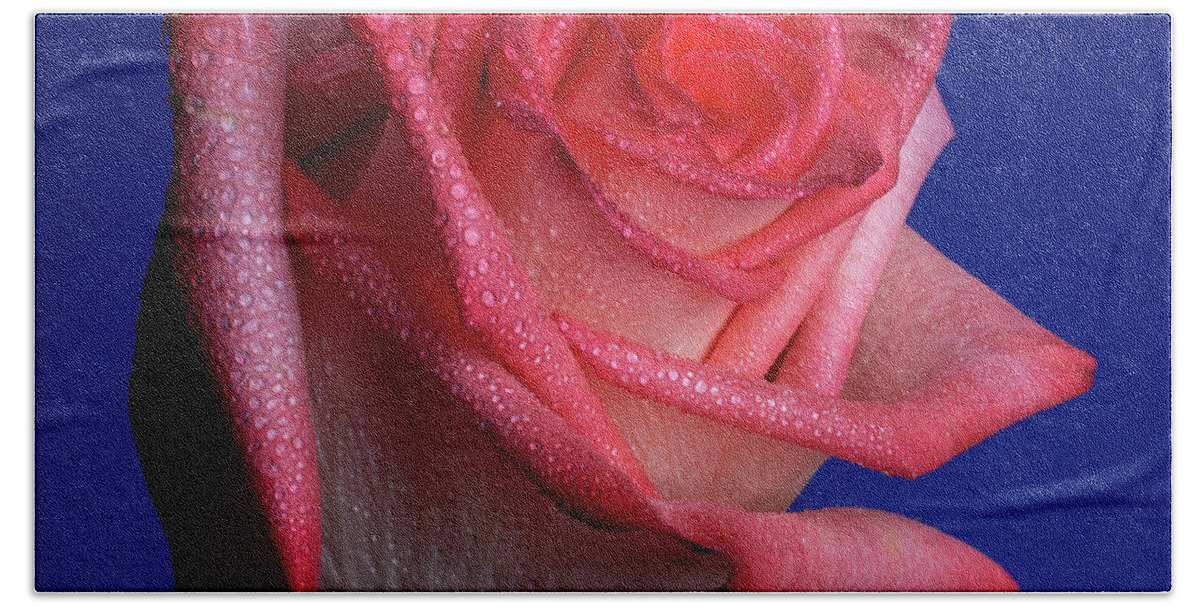 Rose Bath Towel featuring the photograph Enhancer by Doug Norkum