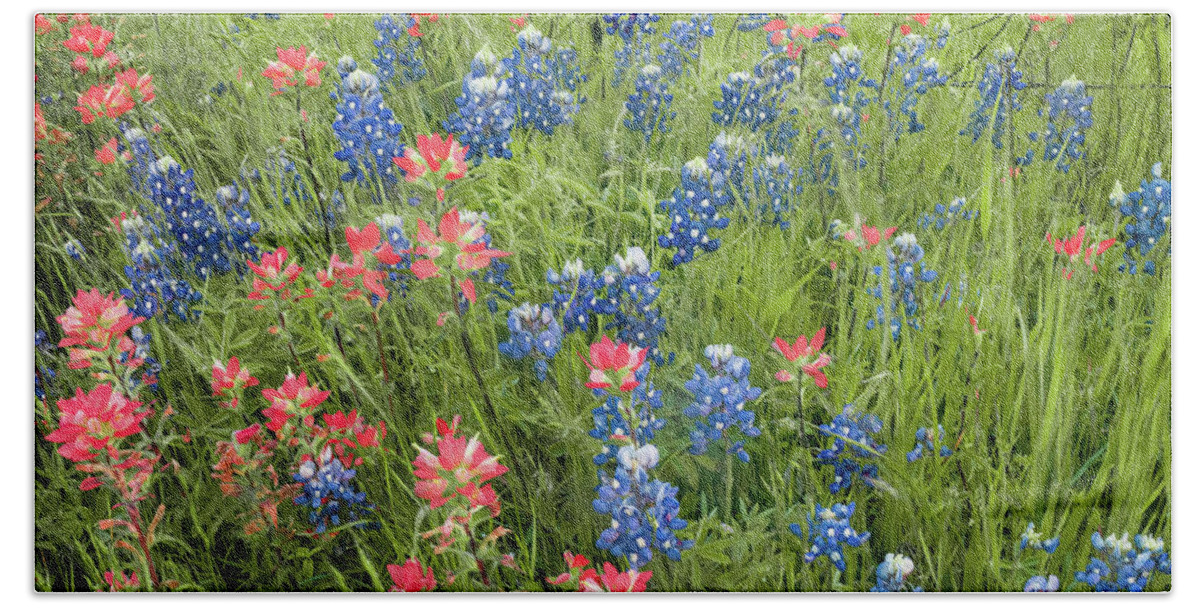America Hand Towel featuring the photograph Ennis Texas Bluebonnet Trail Colorful Nature Panorama by Gregory Ballos
