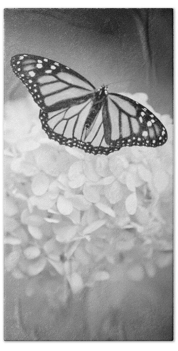 Butterfly Hand Towel featuring the photograph Essence by Michelle Wermuth