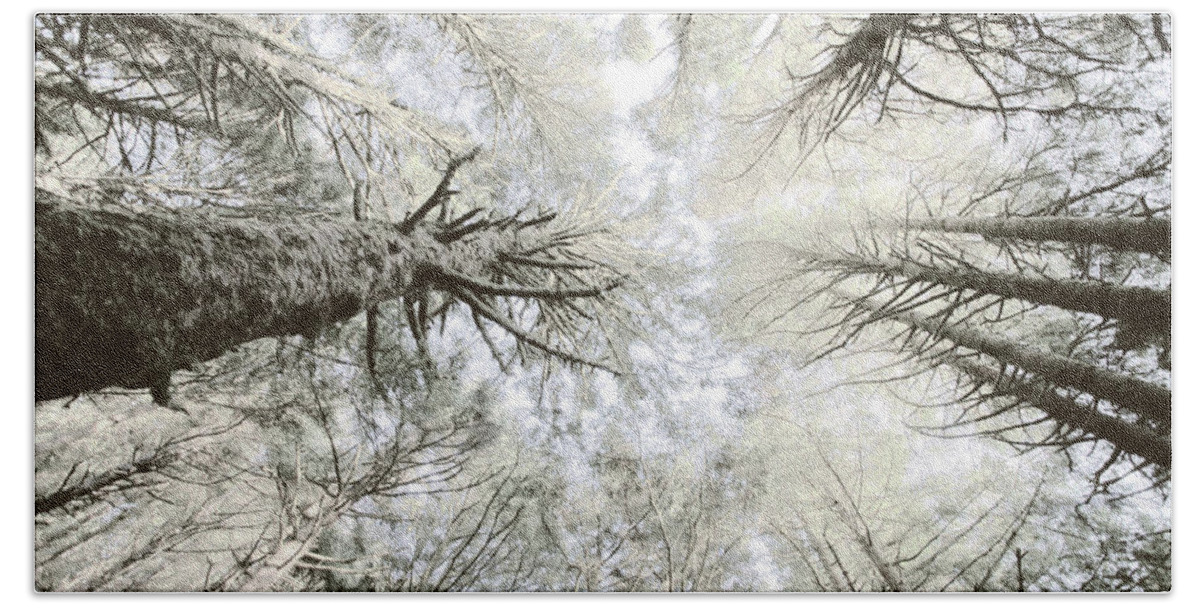 Treetops Bath Towel featuring the photograph Ethereal Treetops by Bonnie Bruno
