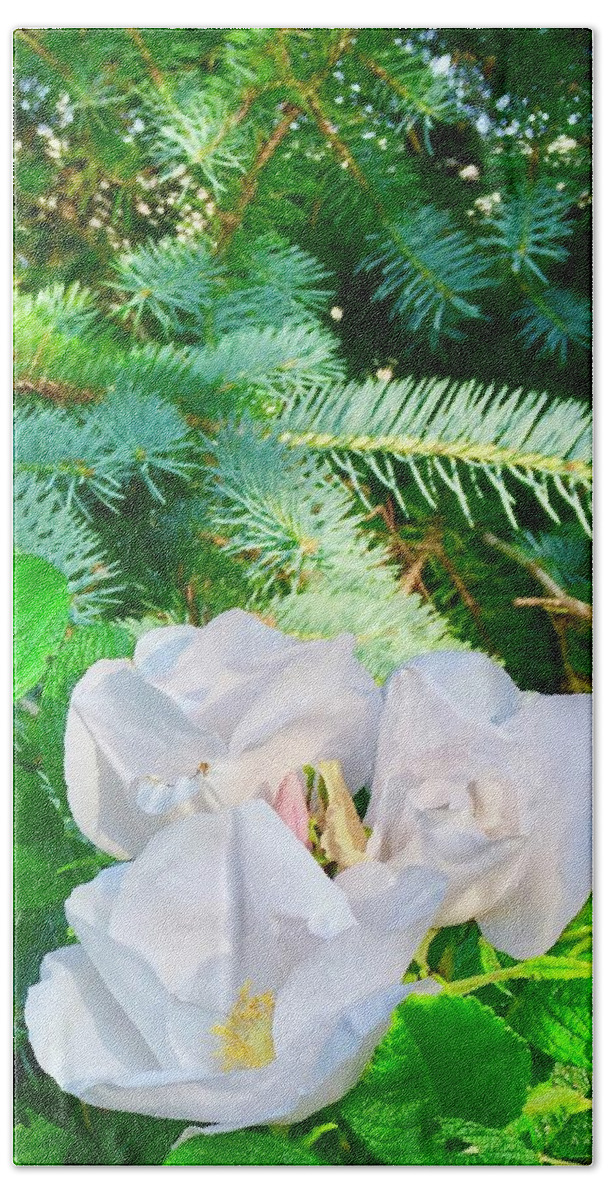 Evergreens And Wild Rose Bath Towel featuring the photograph Evergreens and Wild Roses by Debra Grace Addison