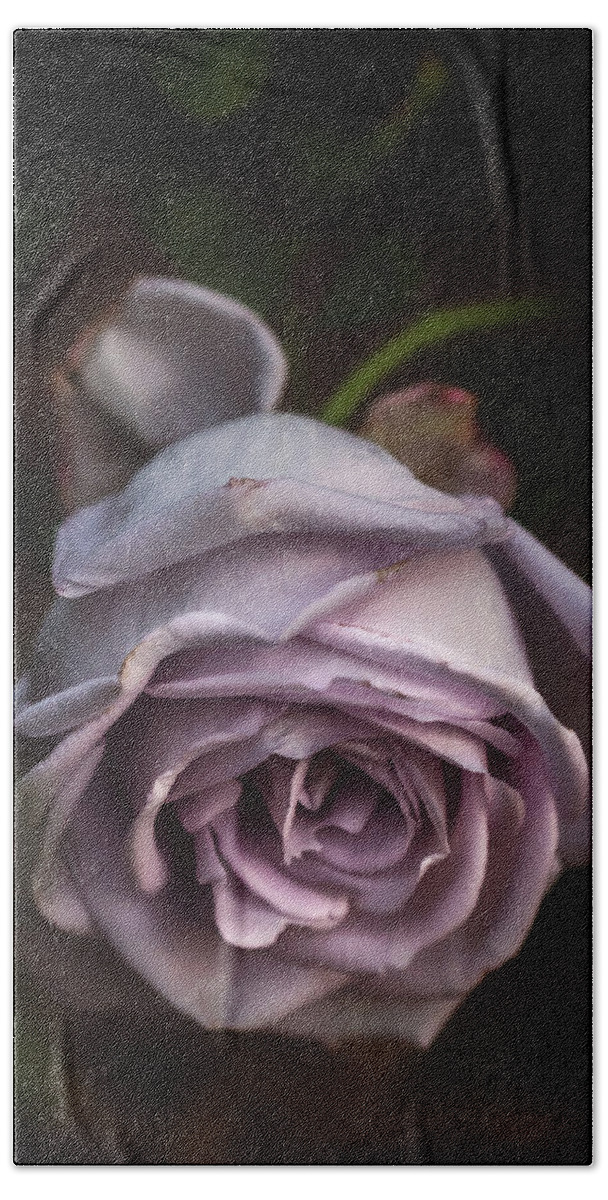 Flower Hand Towel featuring the photograph Fading Bloom by Laura Roberts