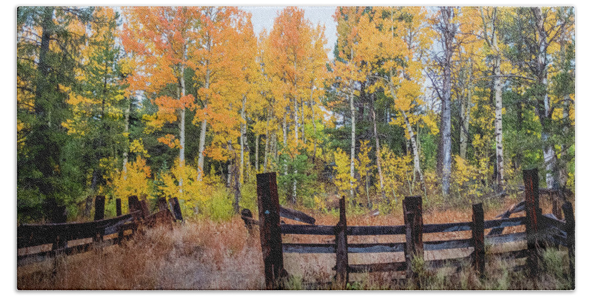 Fall Colors Hand Towel featuring the photograph Fall Colors by Mike Ronnebeck
