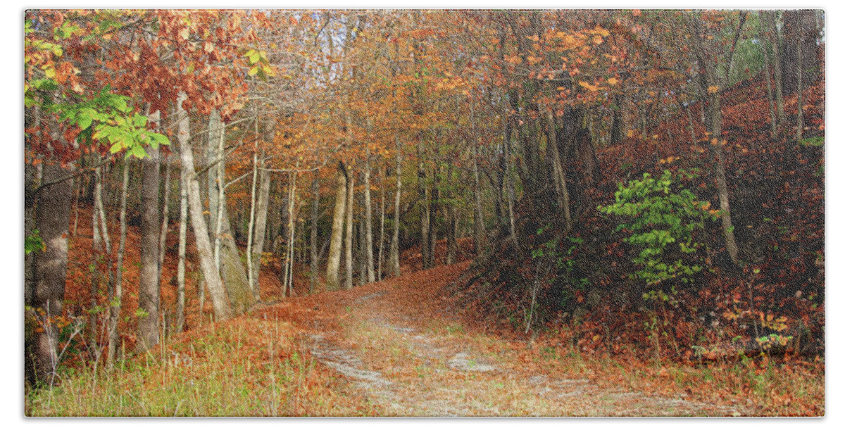 Fall Leaves On Path Bath Towel featuring the photograph Fall Leaves on Path by Angela Murdock