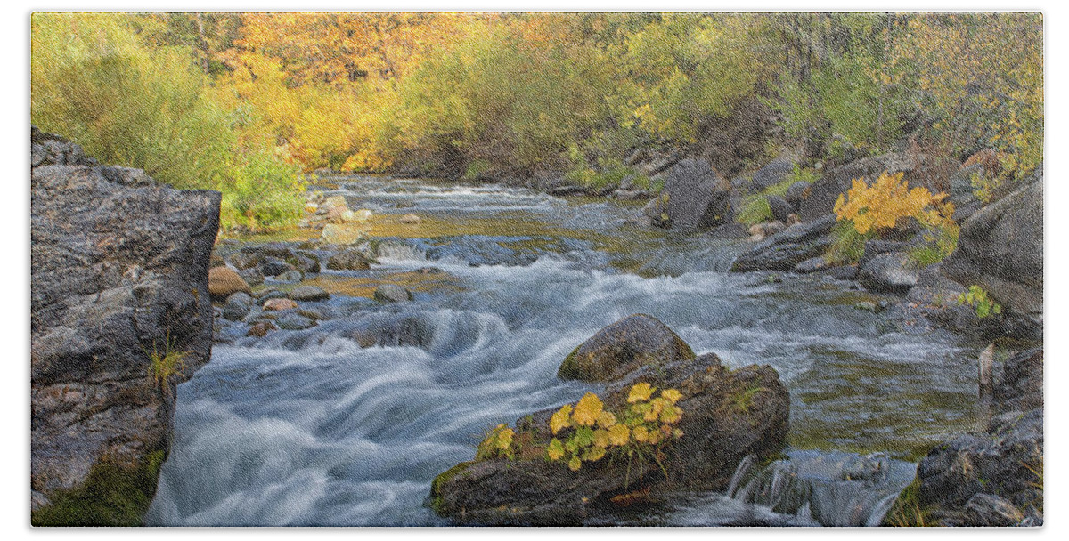 Yuba River Bath Towel featuring the photograph Fall on the Yuba by Tom Kelly