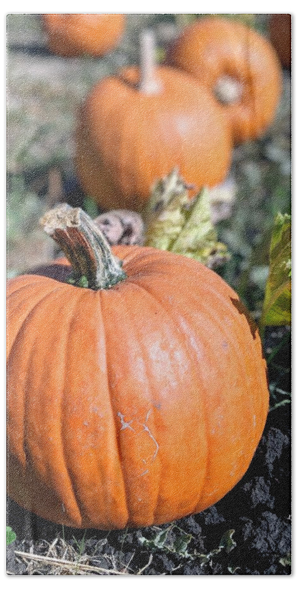 Pumpkin Bath Towel featuring the photograph Fall Pumpkins by Jeff Floyd CA