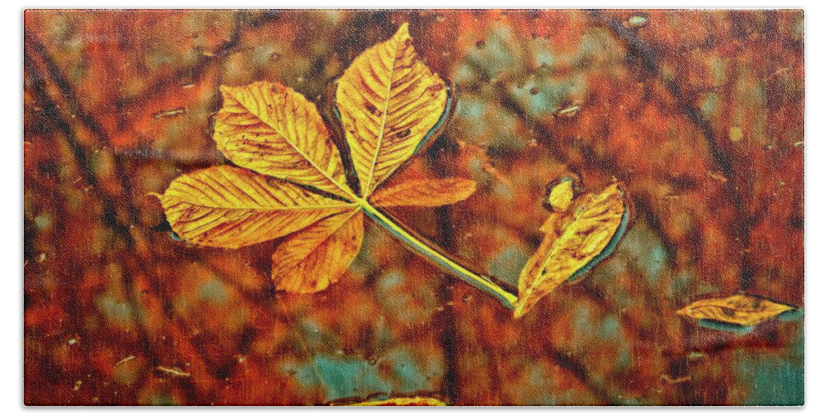 Autumn Hand Towel featuring the photograph Fallen Leaves and Reflections by Martyn Arnold