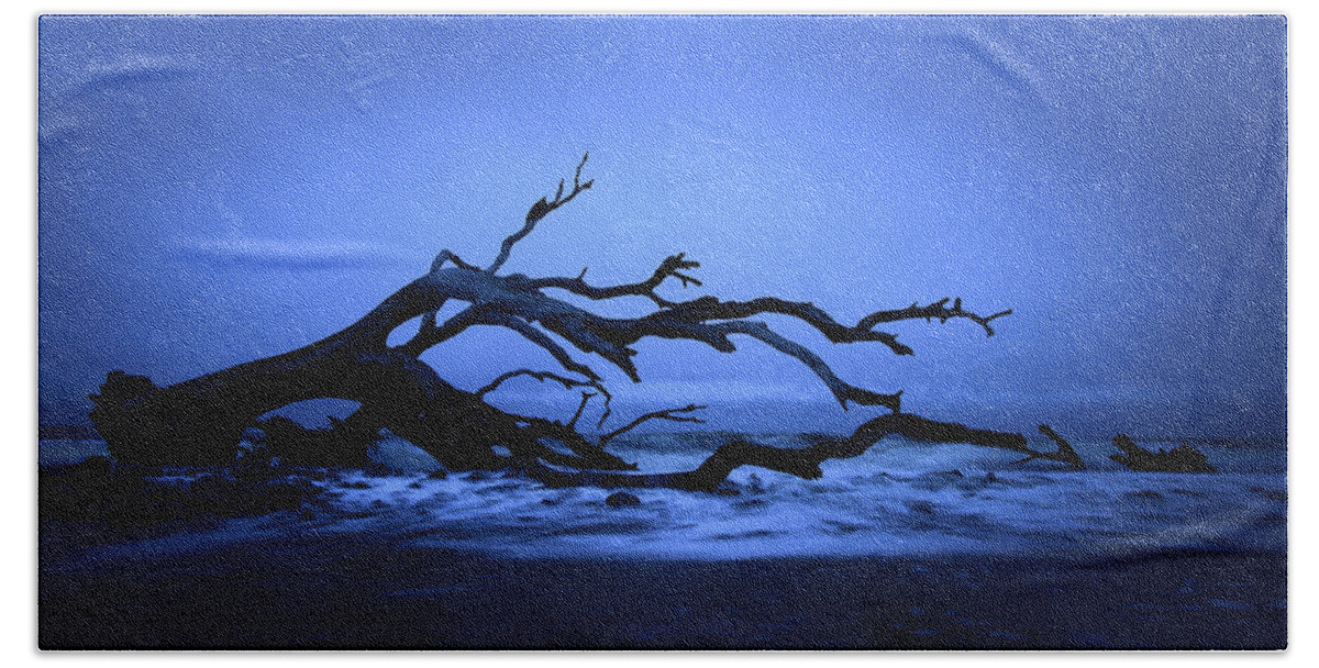 Driftwood Beach Hand Towel featuring the photograph Fallen on Jekyll Island by James Covello