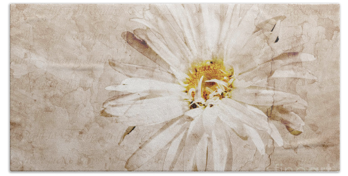 Aster Hand Towel featuring the photograph Fallow Brown by John Edwards