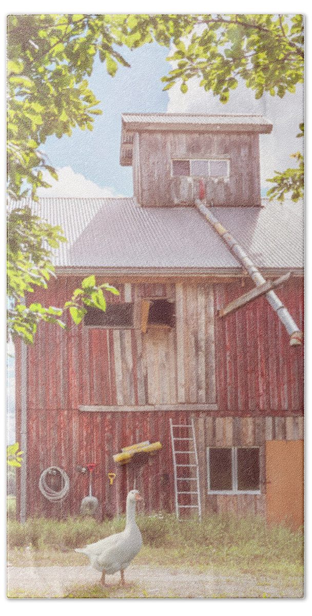 Barns Bath Towel featuring the photograph Farmgoose Soft Colors by Debra and Dave Vanderlaan