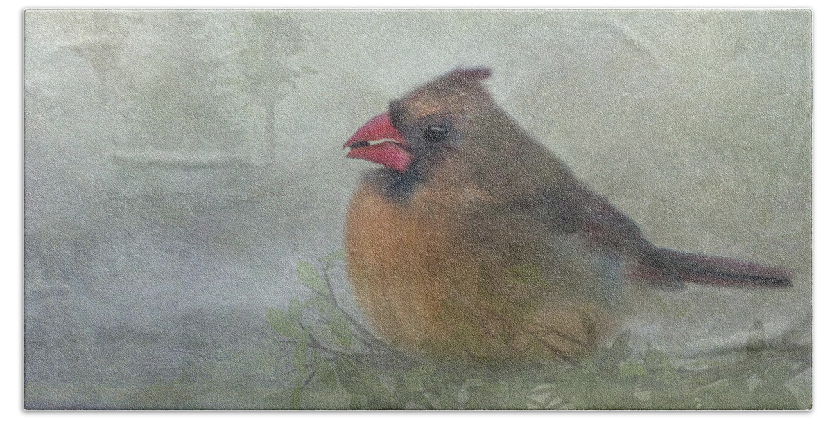 Female Cardinal Bath Towel featuring the photograph Female Cardinal with Seed by Patti Deters