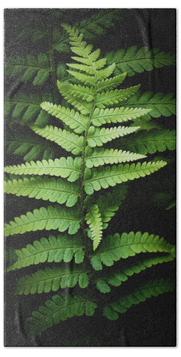 Fern Bath Towel featuring the photograph Ferns # 23 by Philippe Sainte-Laudy
