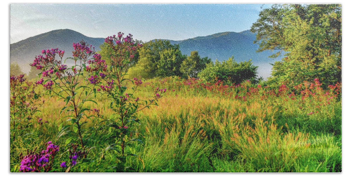 Cades Cove Hand Towel featuring the photograph Field Flowers of Late Summer by Marcy Wielfaert