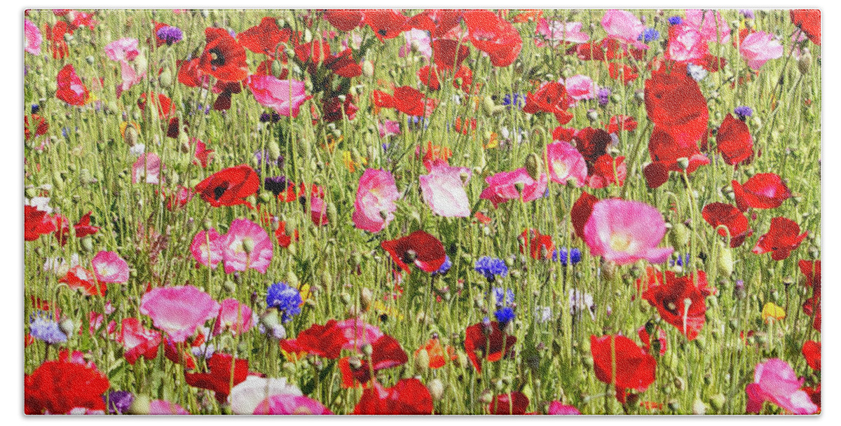 Red Bath Towel featuring the photograph Field of Red Poppies by E Faithe Lester