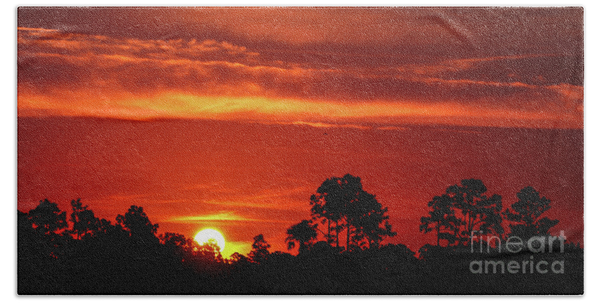 Sun Bath Towel featuring the photograph Fiery Pine Glades Sunrise by Tom Claud