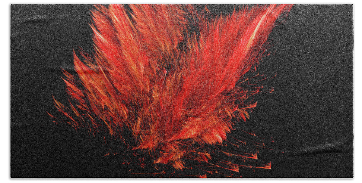 Fractals Hand Towel featuring the photograph Fire Feathers by Elaine Manley