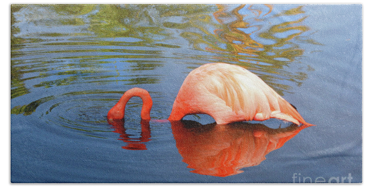 Nature Hand Towel featuring the photograph Flamingo Curves by Mariarosa Rockefeller