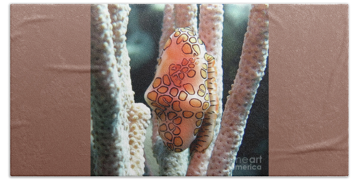 Underwater Bath Towel featuring the photograph Flamingo Tongue 11 by Daryl Duda