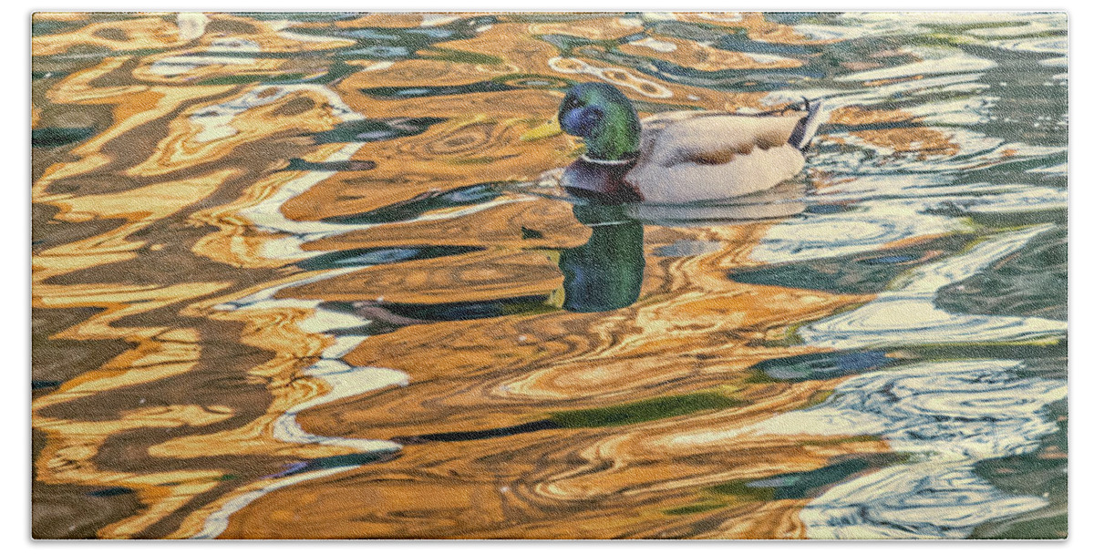 Mallard Bath Towel featuring the photograph Floating in Color by Kate Brown