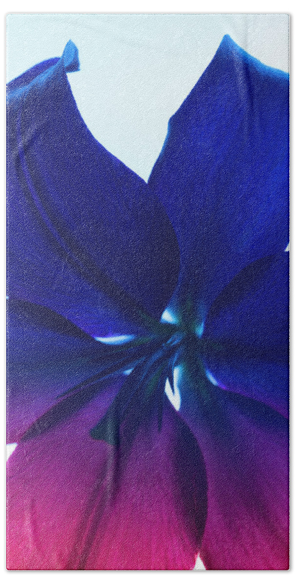 Flower Bath Towel featuring the photograph Flower Abstract #2, 2013 by Chris Hunt