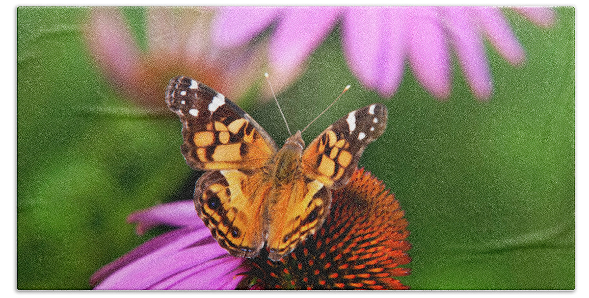 Butterfly Bath Towel featuring the photograph Butterfly Fluttering Breeze by Christina Rollo