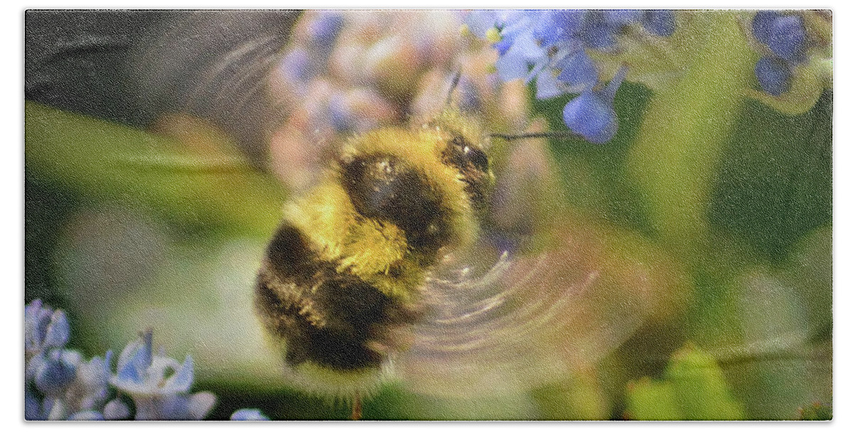 Bumblebee Bath Towel featuring the photograph Flying Miracle by Brian Tada
