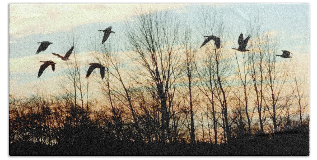 Canadian Geese Hand Towel featuring the photograph Flying Silhouettes by Scott Cameron