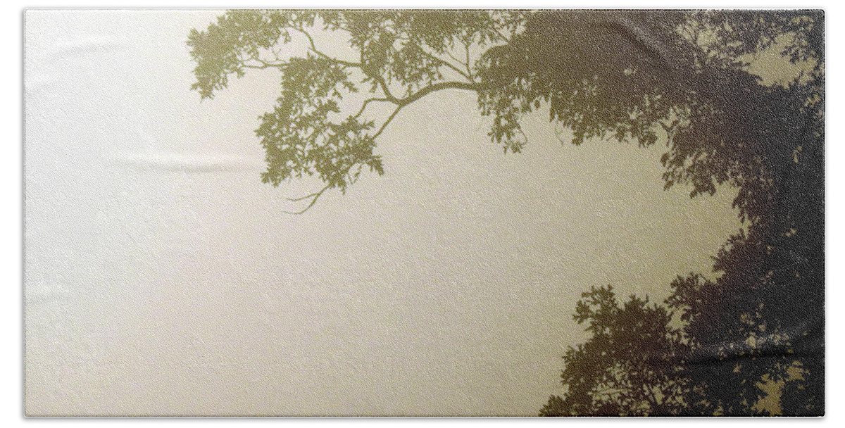 Foggy Fog Morn Morning Mornings Fogs Fogged In Fogged-in Craig Walters Picture Photograph Art Artist Arts Artists Gradient Branch Branches Light Dark Day Daylight Light Hand Towel featuring the digital art Foggy Morning Trees by Craig Walters