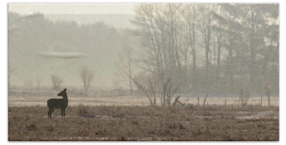 Deer Bath Towel featuring the photograph Foggy Winter Morning by Brook Burling