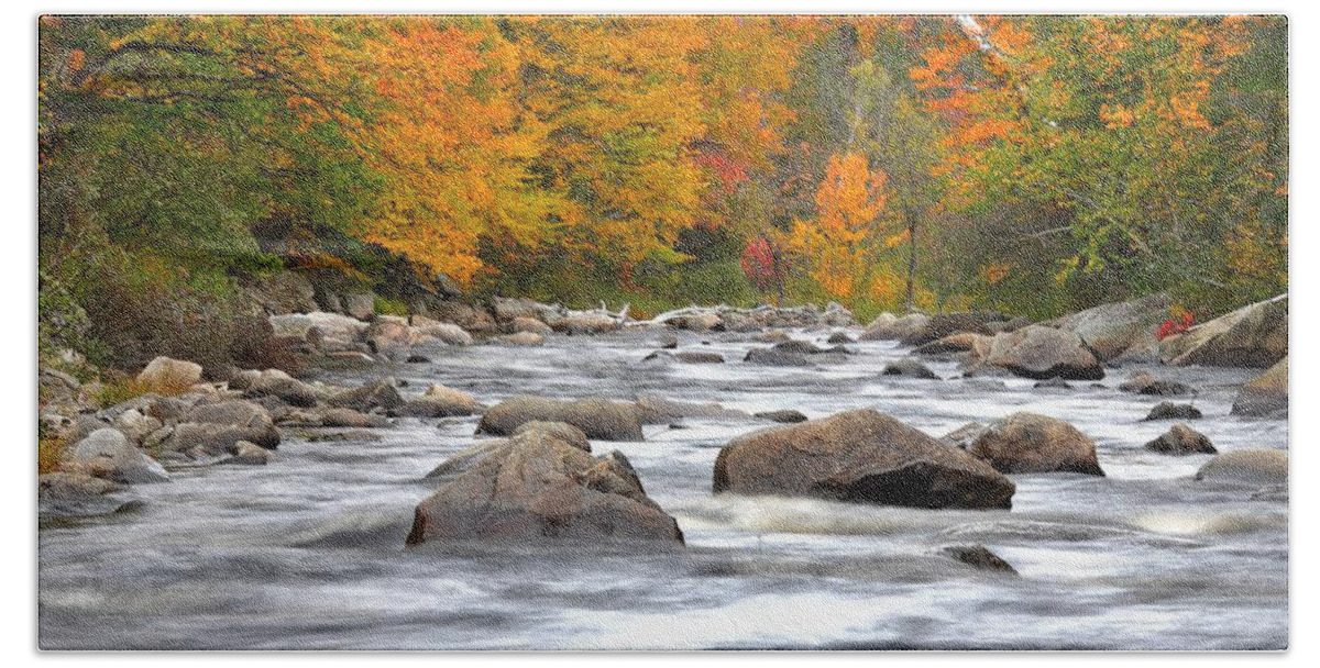 Vermont Hand Towel featuring the photograph Foliage Along the River by Steve Brown