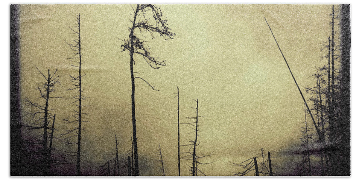 Smoke Bath Towel featuring the photograph Forest Fire by RicharD Murphy