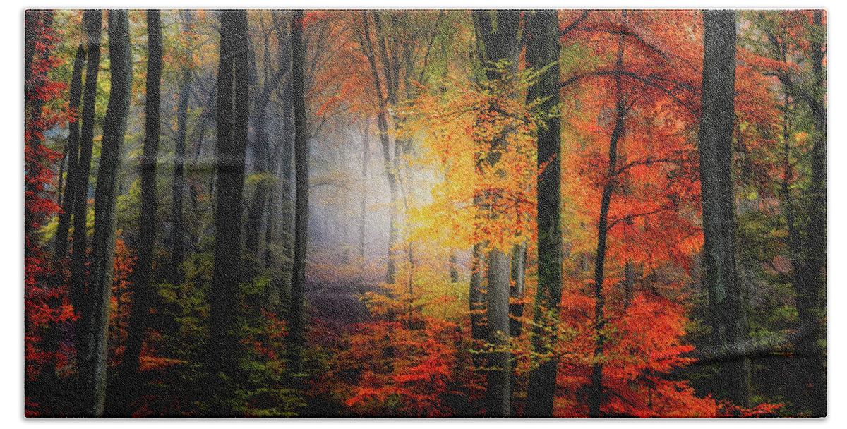 Forest Hand Towel featuring the photograph Forest Light by Philippe Sainte-Laudy