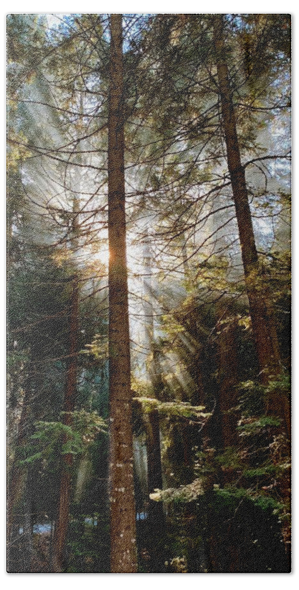 Forest Bath Towel featuring the photograph Forest Sunrise by Steph Gabler