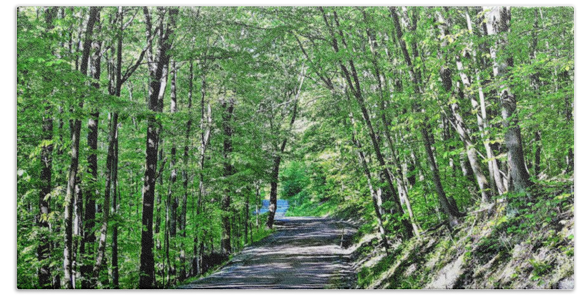 Trees Bath Towel featuring the photograph Forested Road by Merle Grenz