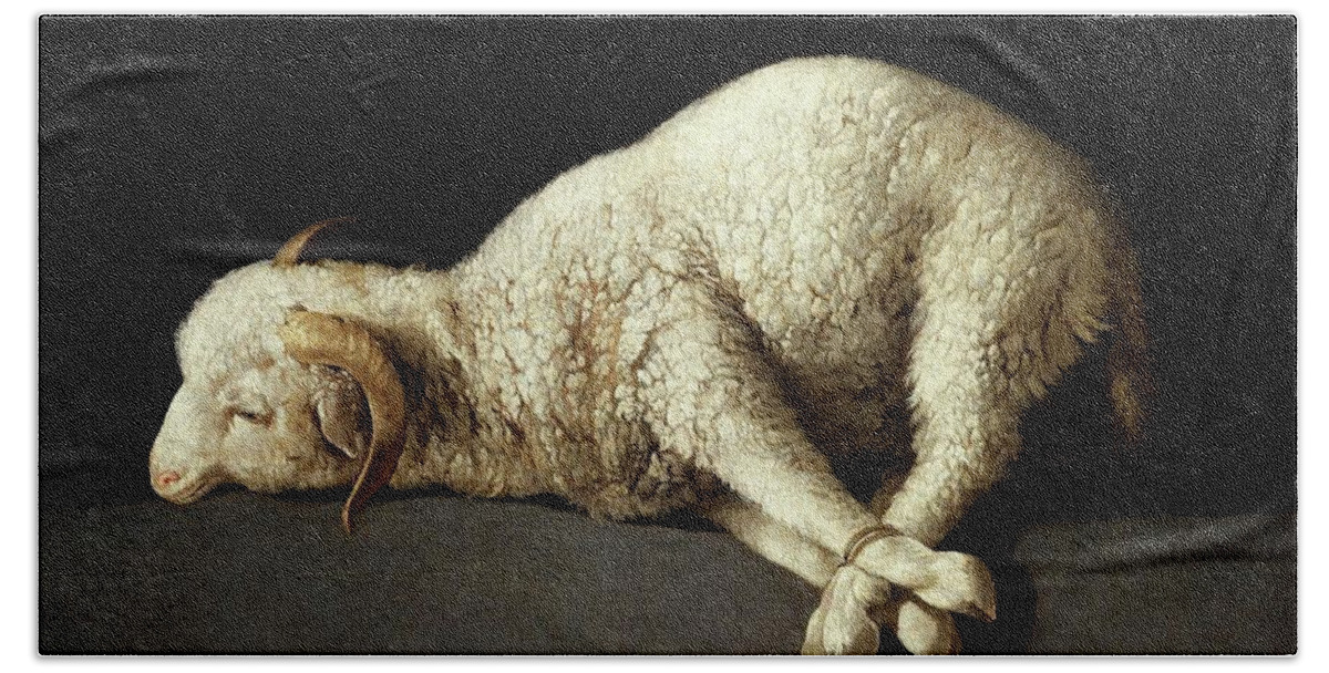 Agnus Dei (the Lamb Of God) Bath Towel featuring the painting Francisco de Zurbaran / 'Agnus Dei -The Lamb of God-', 1635-1640, Spanish School. by Francisco de Zurbaran -c 1598-1664-