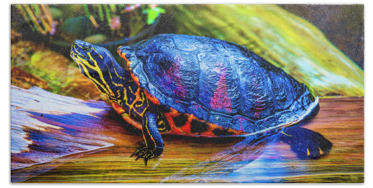 Freshwater Bath Towel featuring the photograph Freshwater Aquatic Turtle by Garry Gay
