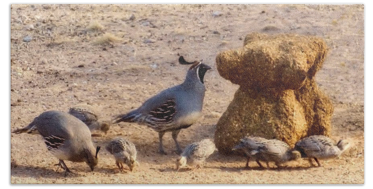 Arizona Bath Towel featuring the photograph Gambel's Quail Family by Judy Kennedy