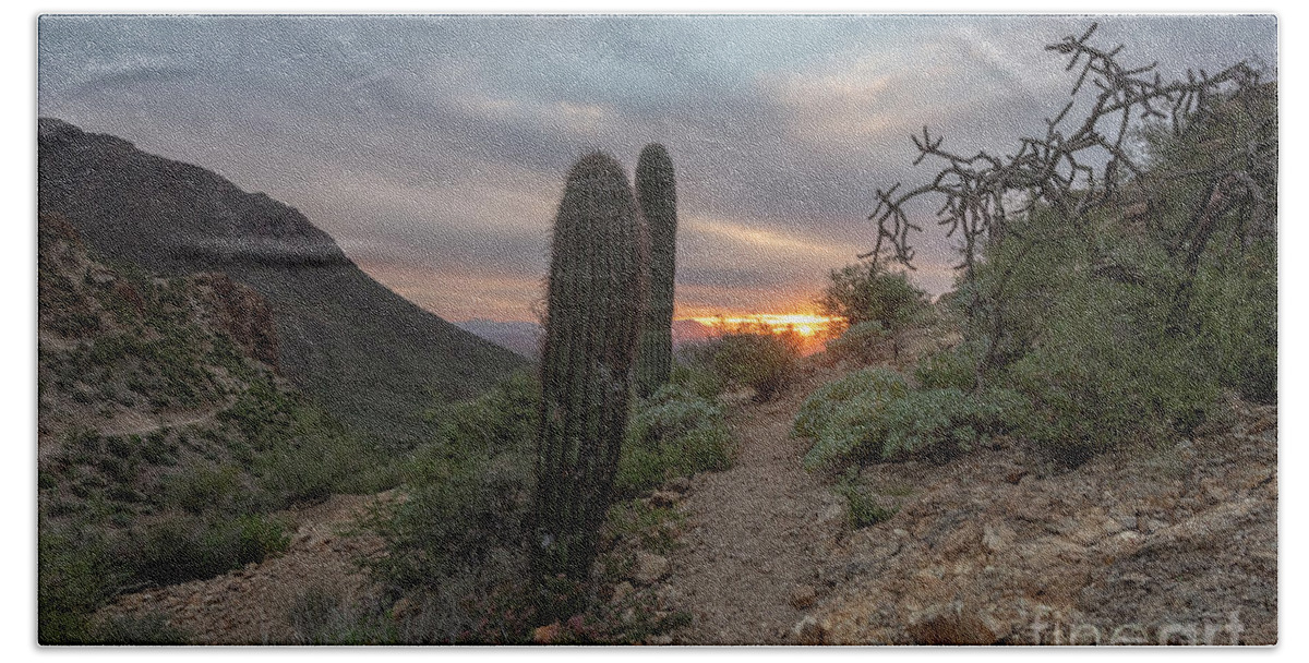 Cactus Bath Towel featuring the photograph Gates Pass Sunset Trail by Michael Dawson