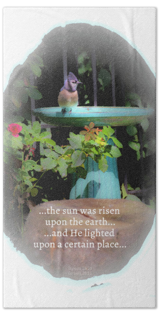 Genesis Hand Towel featuring the photograph Genesis Sun Light by Diane Lindon Coy