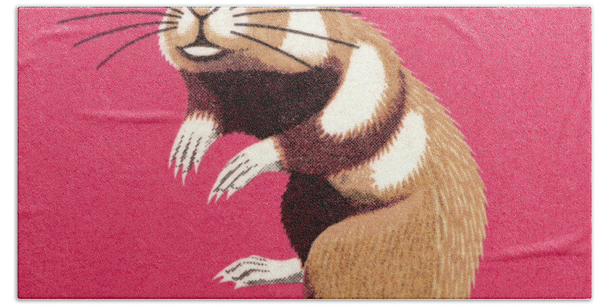 Animal Hand Towel featuring the drawing Gerbil by CSA Images