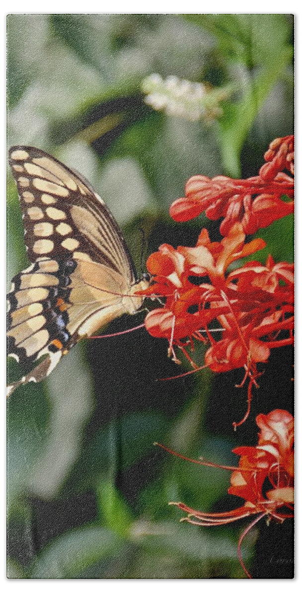 Butterfly Hand Towel featuring the photograph Giant Swallowtail and Red Pagoda by Carol Bradley