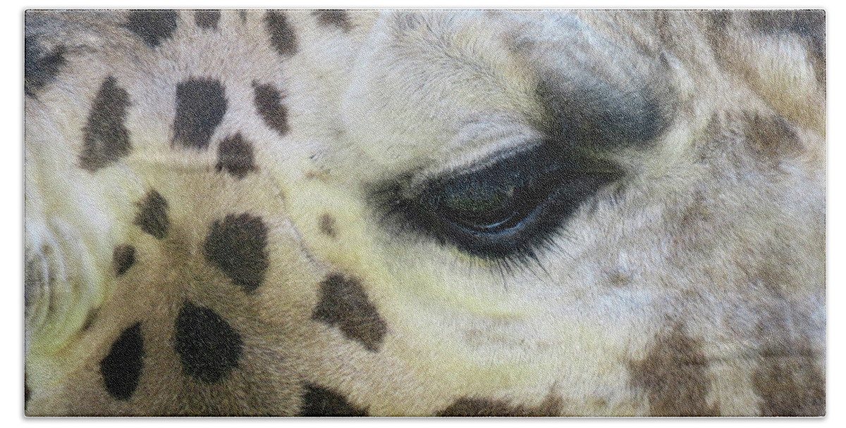Giraffe Bath Towel featuring the photograph Giraffe Close-up by Mary Mikawoz