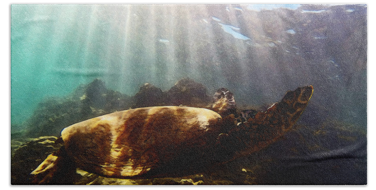 Sea Turtle Hand Towel featuring the photograph Gliding Honu - Paintography by Anthony Jones