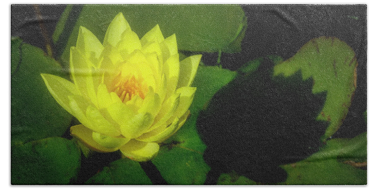 Yellow Bath Towel featuring the photograph Glowing Yellow Waterlily by Garry Gay
