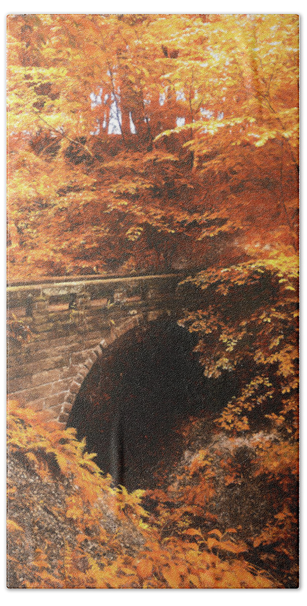 Fall Bath Towel featuring the photograph Golden Crossing by Jason Fink