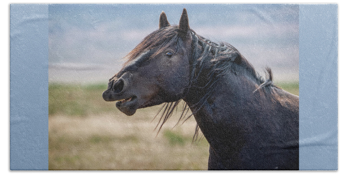 Horse Bath Towel featuring the photograph Good Morning Sunshine by Jeanette Mahoney
