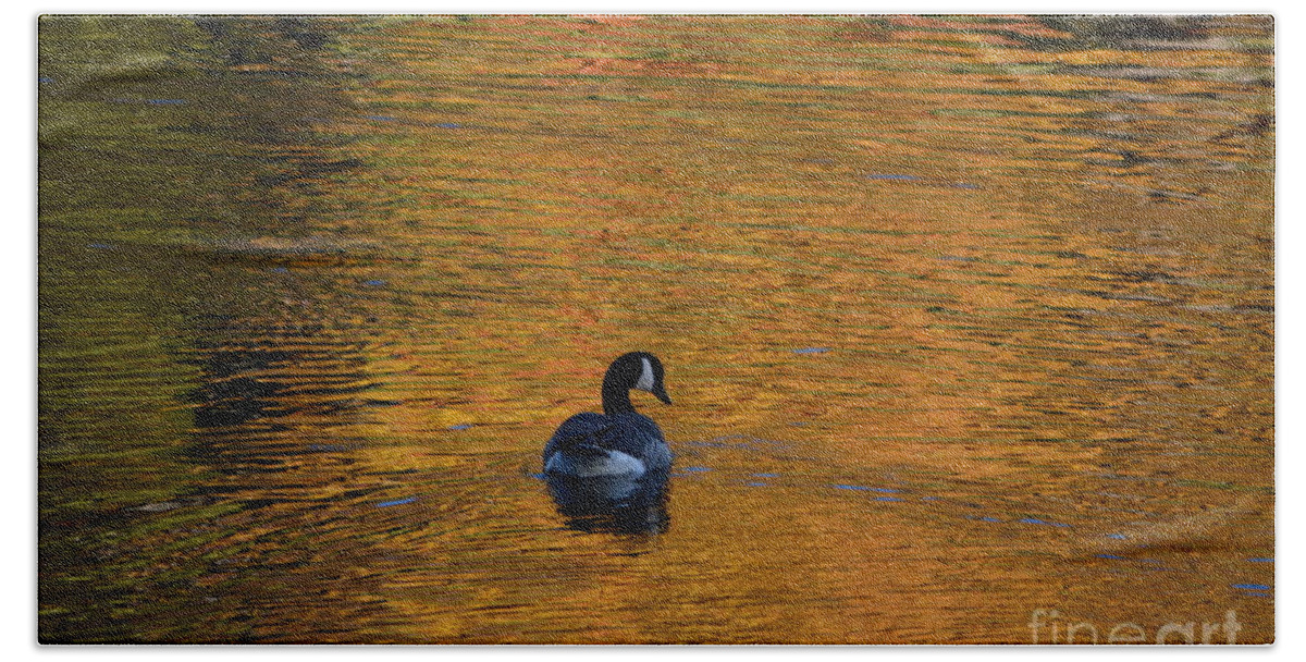 Geese Bath Towel featuring the photograph Goose Swimming In Autumn Colors by Dani McEvoy